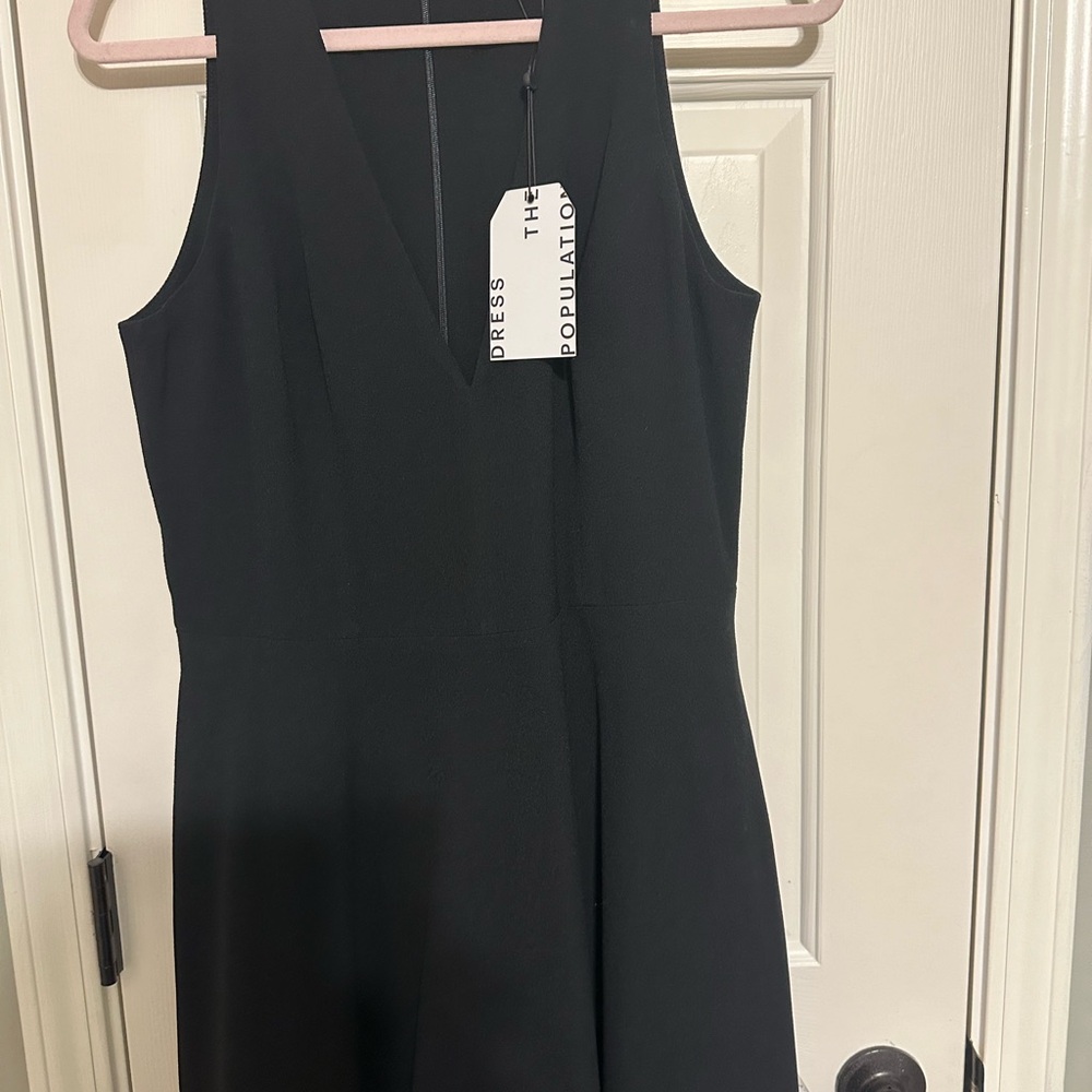Dress the Population Black Sleeveless Dress